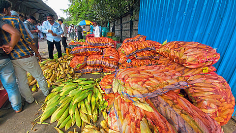 Vegetable Market