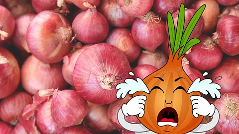 Onion Rate