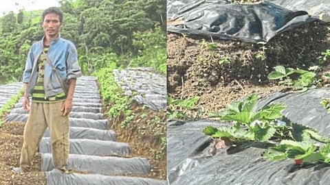 Increased income of Mizo farmers due to mechanization, improved cropping patterns