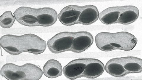 Agriculture Technology