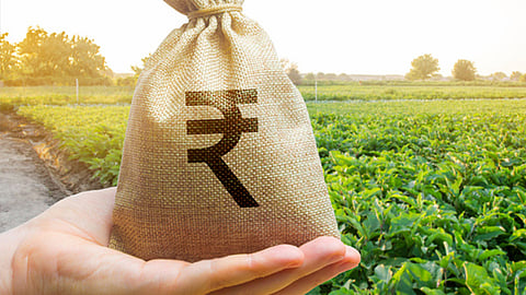 Crop Loan