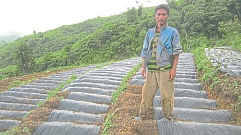 Indian Agriculture