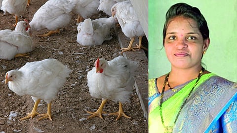 Poultry  Farming By Self Help Group