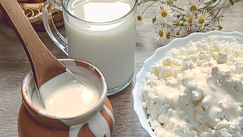 Dairy Product