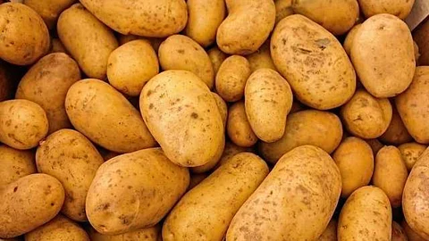 Potato