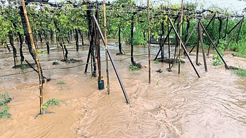 Rain Update