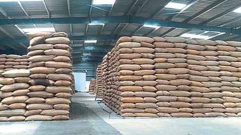 Warehouse Development