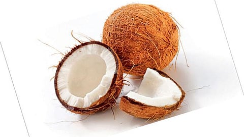 Coconuts Import