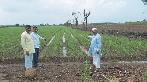 Crop Damage