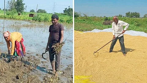 Crop Harvesting