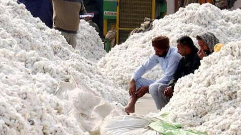 Cotton Rate