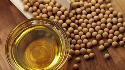 Soybean Rate