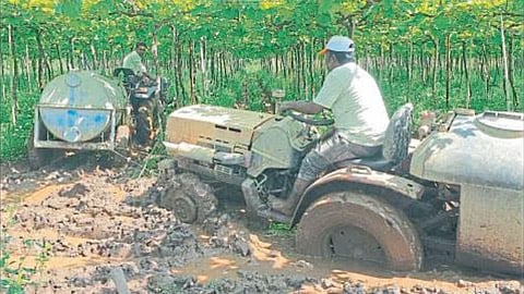 Crop Damage