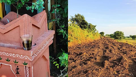 Traditional Agriculture