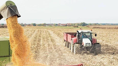 Agricultural Export