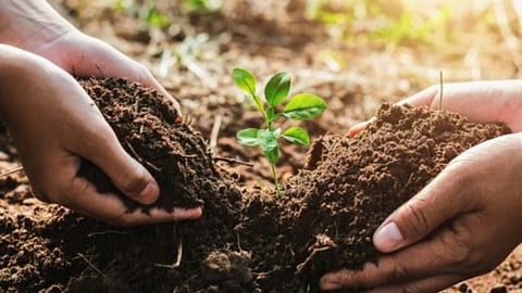 Soil And Water Management