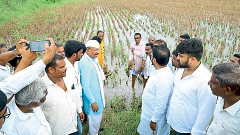 Crop Damage Compensation