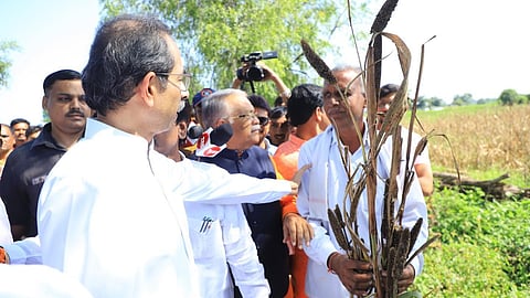 Udhhav Thackeray