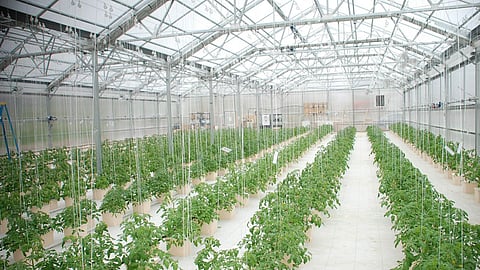 Greenhouse Technology