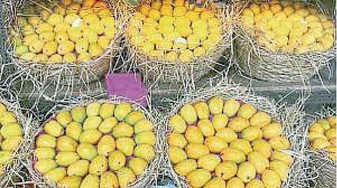 Mango product