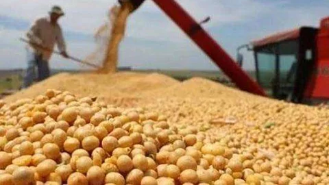 Agriculture Import