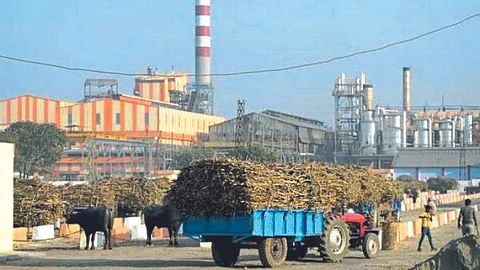 Sugar Export
