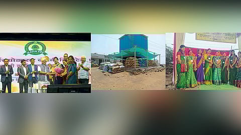 Womens Farmer Producer Company