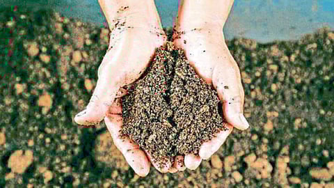 Soil