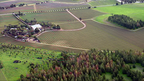 Counting Agricultural Land