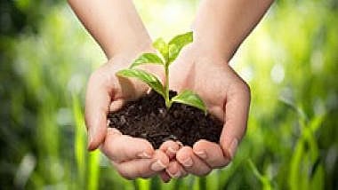 Forest Management Committee