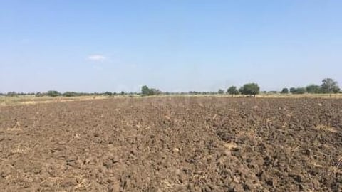 Agriculture Land