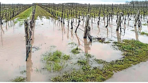 Crop Management