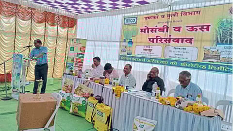 Mosambi Production : सततच्या अतिवृष्टीमुळे मोसंबी उत्पादनात घट