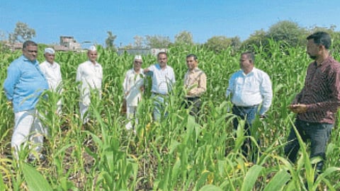 Agricultural University
