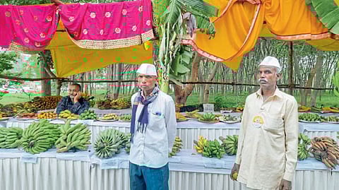 Seed : उत्सव पारंपरिक बियाण्यांचा