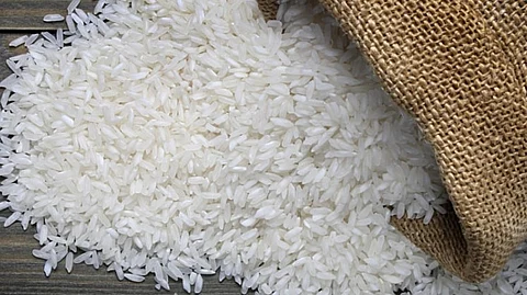Rice Production