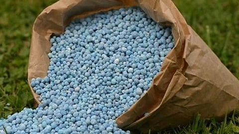 Fertilizer