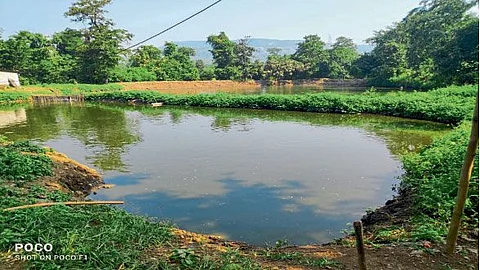 Fish Farming