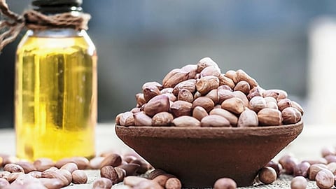 Groundnut production