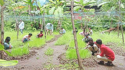 Agriculture Education