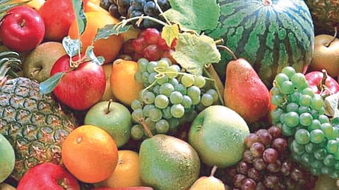 Fruit Export