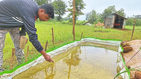 Fish Farming