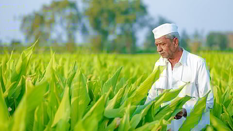 Indian Agriculture