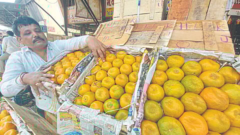 Orange Market