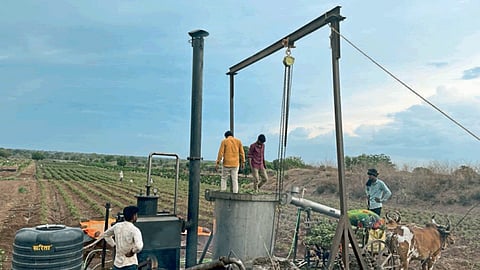 Geranium Oil Extraction