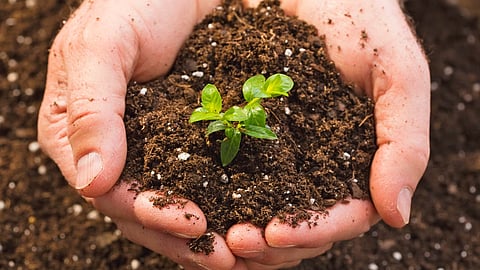 World Soil Day 2022