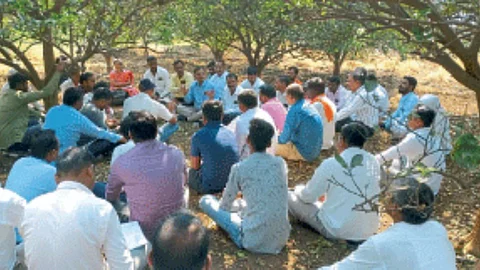 Mosambi Growers