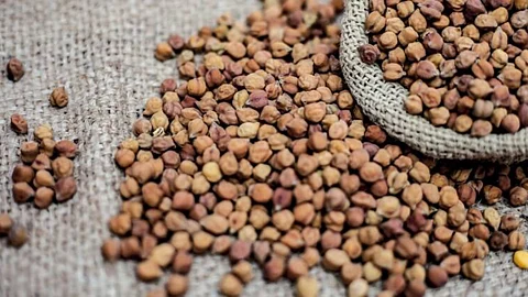 Chana Sowing : हरभऱ्याच्या ३३ हजार क्विंटल बियाण्यांची विक्री