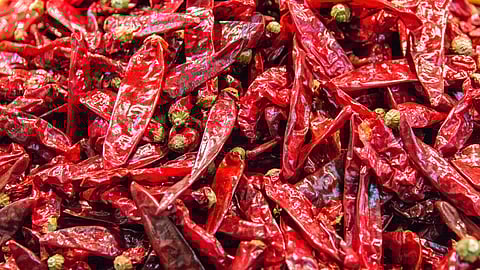 Chilli Market