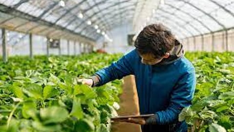 Agriculture Technology